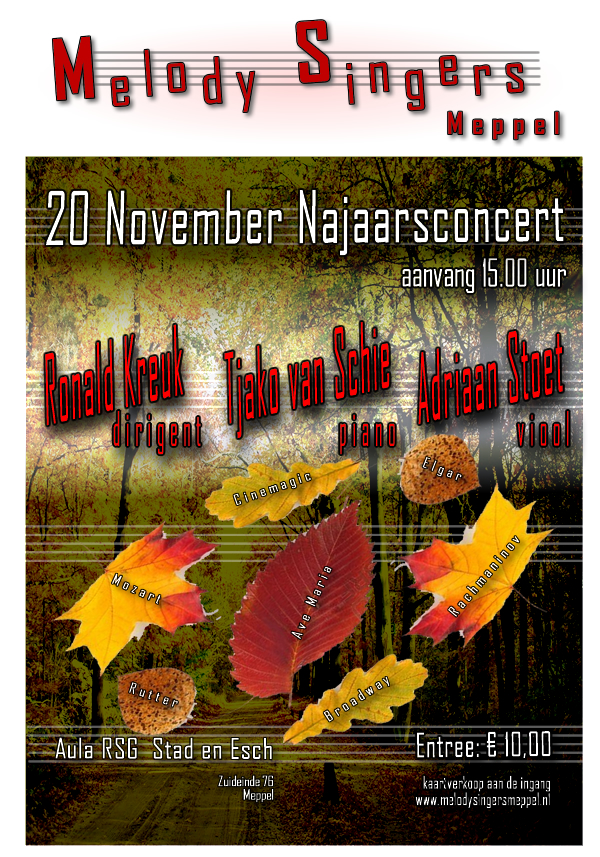 Affiche concert 20 november 2011